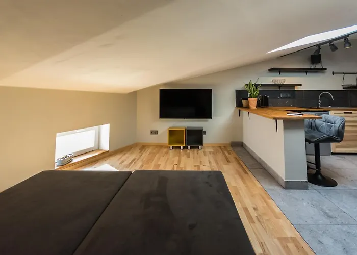 Appartement Fabrykanta Ksiezy Mlyn *